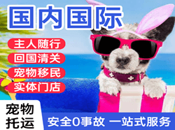 阿拉善左旗巴彦浩特航空快递国际宠物托运 【国